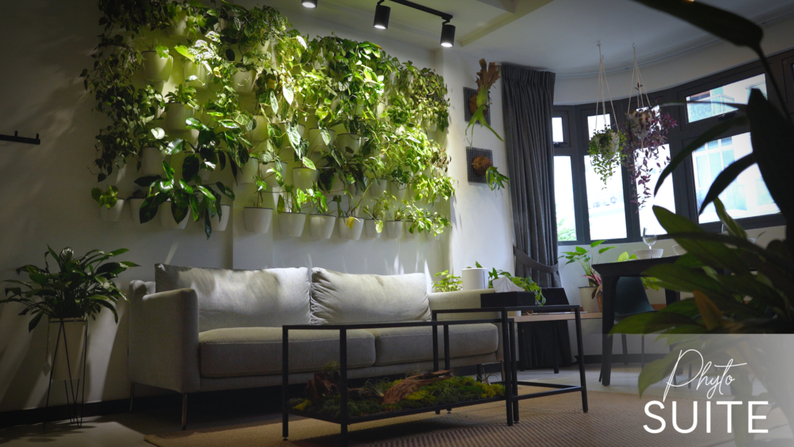 Phyto Suite Singapore