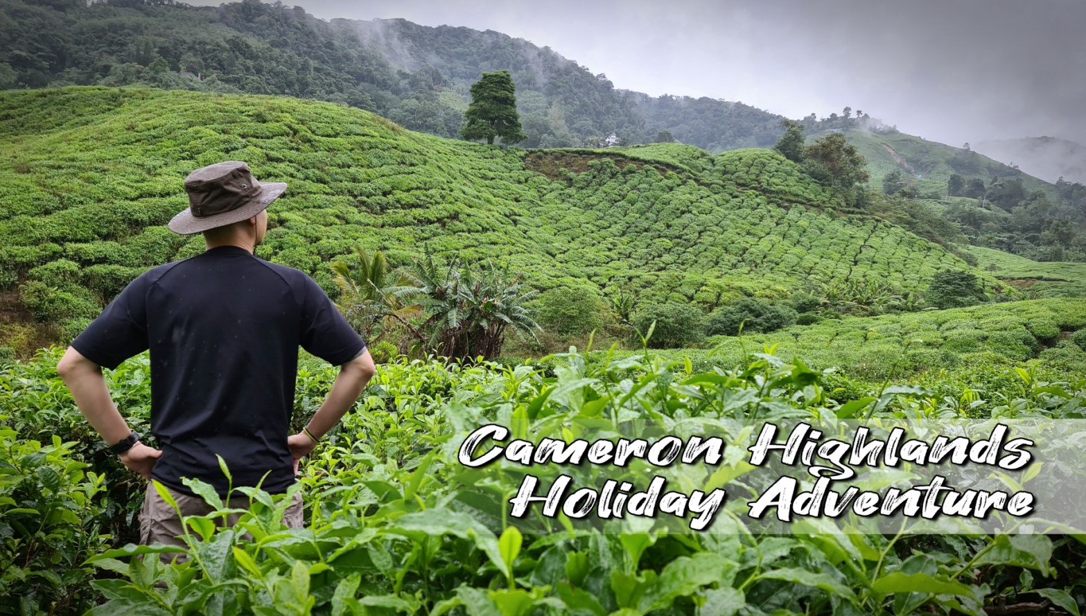 Cameron Highlands Malaysia