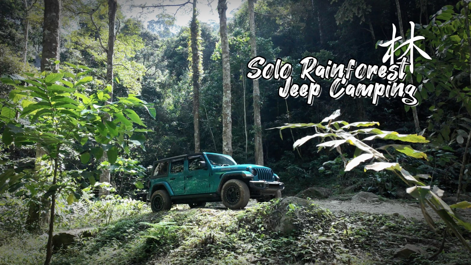 Solo Rainforest Jeep Camping - Cover